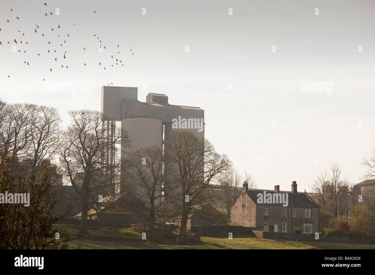 The old chimney at Castle Cement in Clitheroe Lancashire UK being demolished Stock Photo