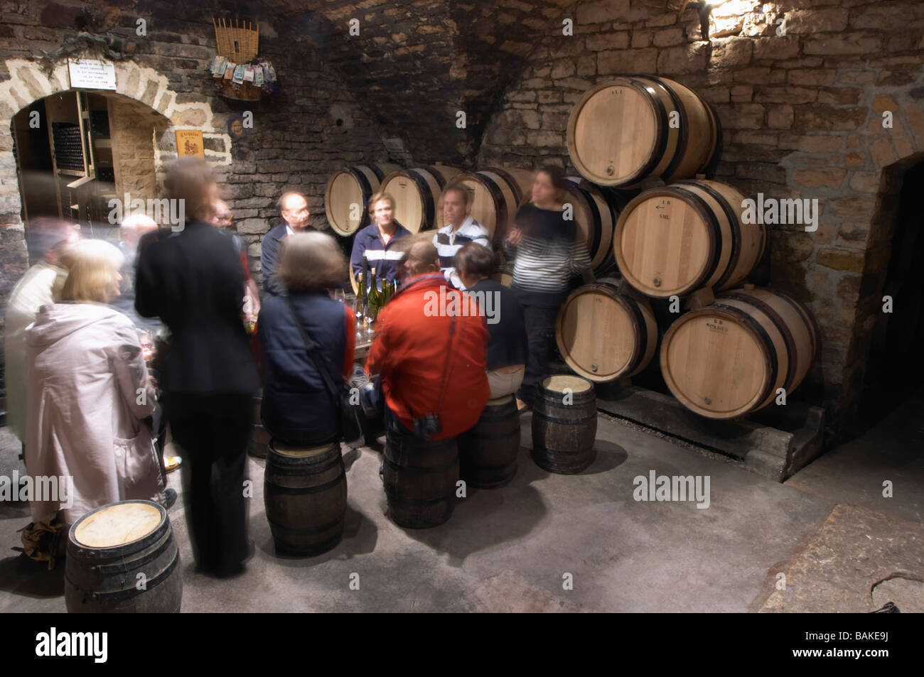 barrel aging cellar domaine chevalier p&f ladoix cote de beaune