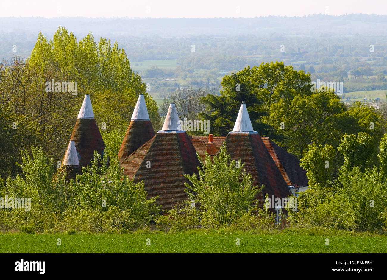Boughton Monchelsea, Maidstone, Kent, UK. Oast Houses and the Weald