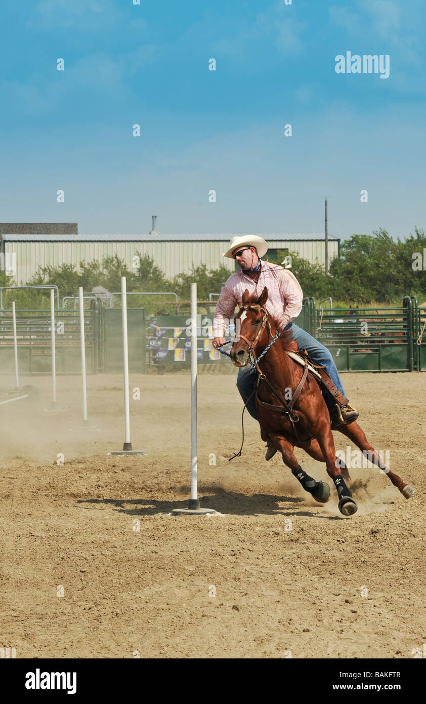 Man riding runnig horse in pole event at rodeo Stock Photo - Alamy
