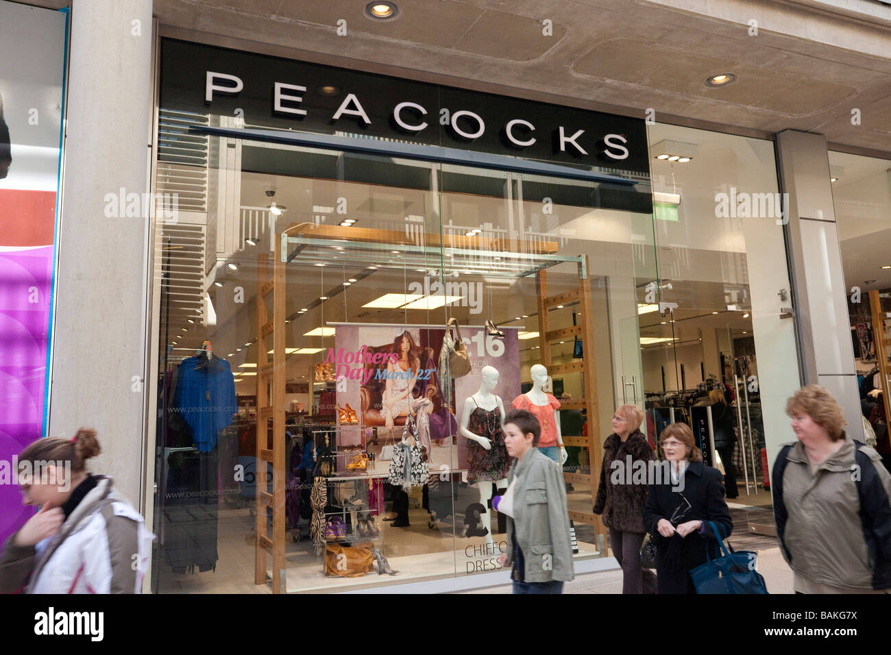 Peacocks shop Stock Photo
