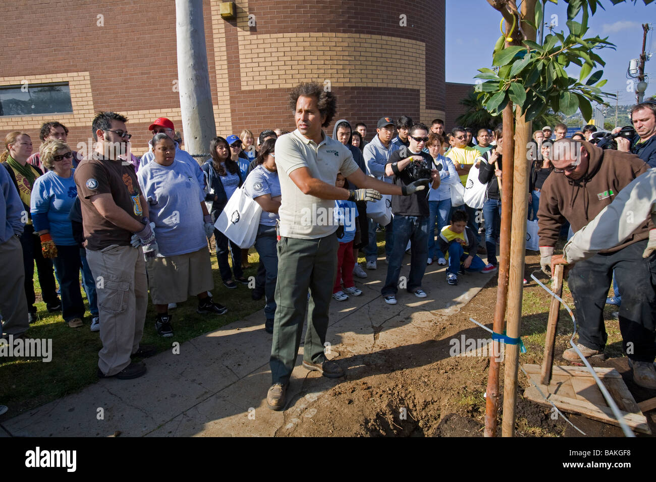 Tree Planting in Highland Park, Los Angeles, California, USA Stock
