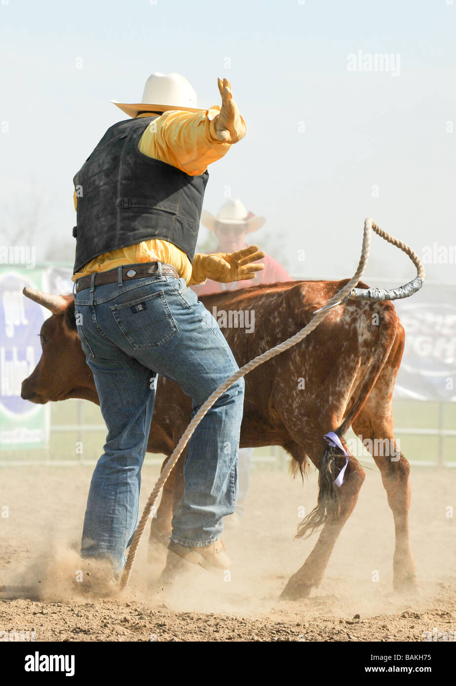 gay rodeo photos gay emo tubes