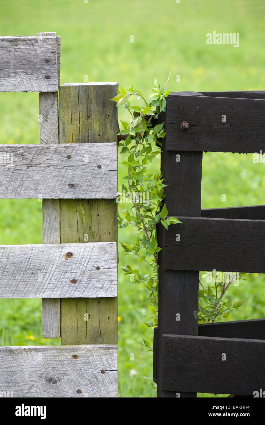 Gate and fence Stock Photo Alamy