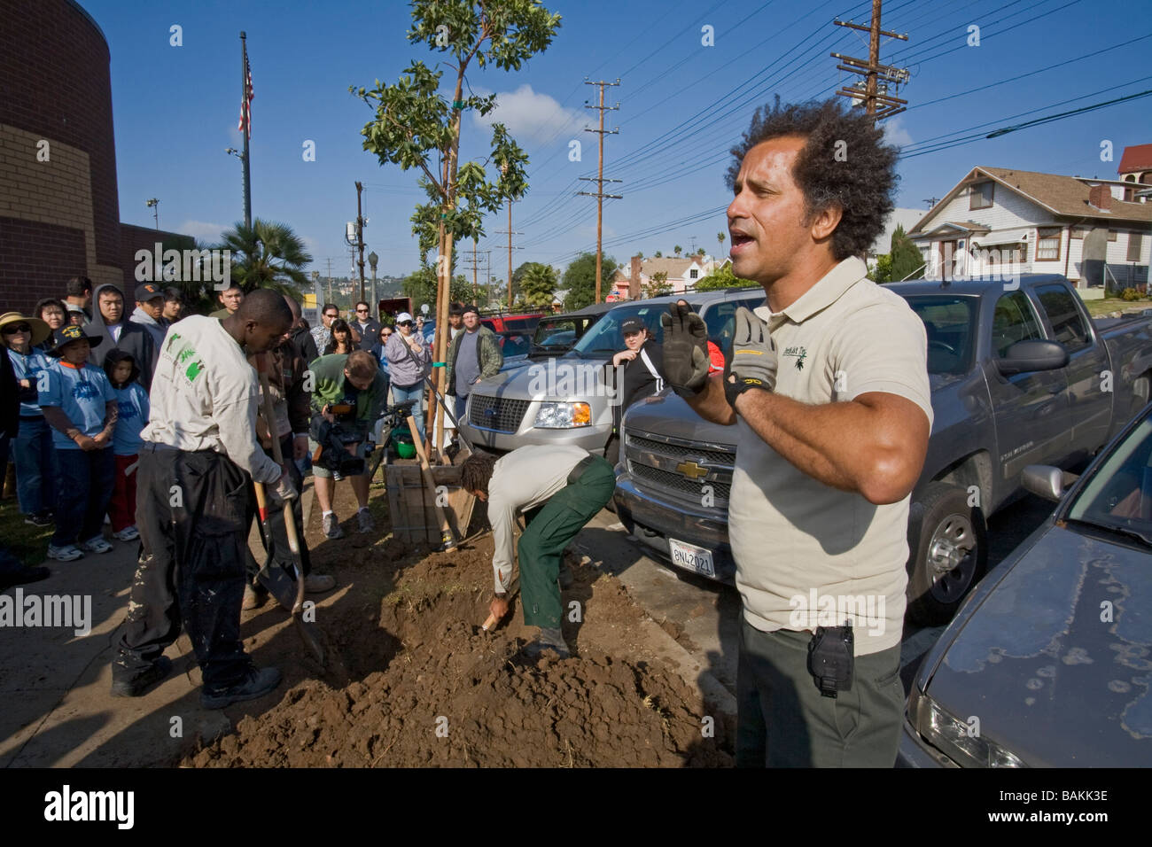Tree Planting in Highland Park, Los Angeles, California, USA Stock