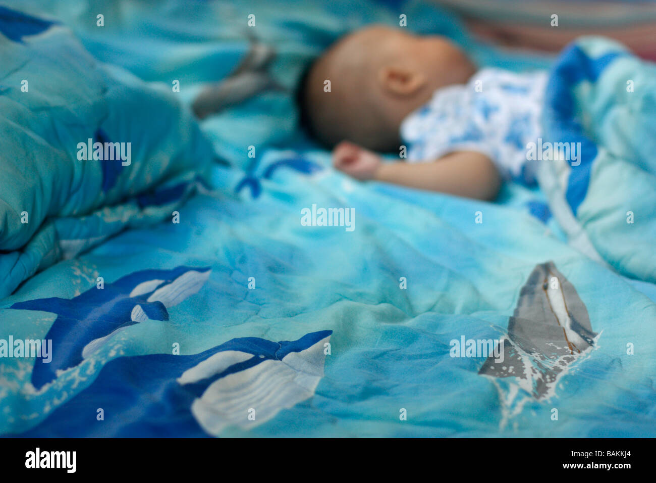 A sleeping five month old baby boy Stock Photo Alamy