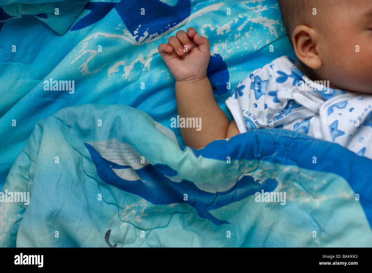 A sleeping five month old baby boy Stock Photo Alamy