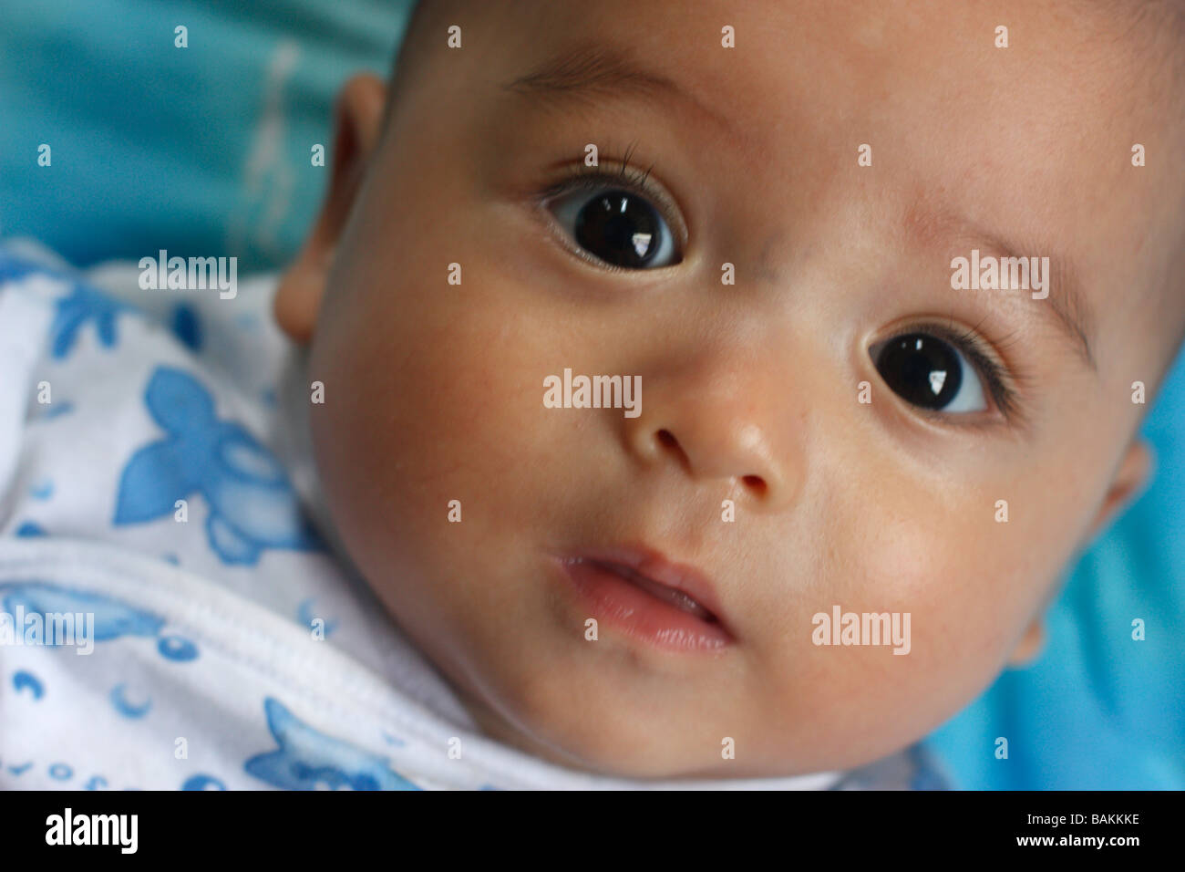 5 and a half month baby