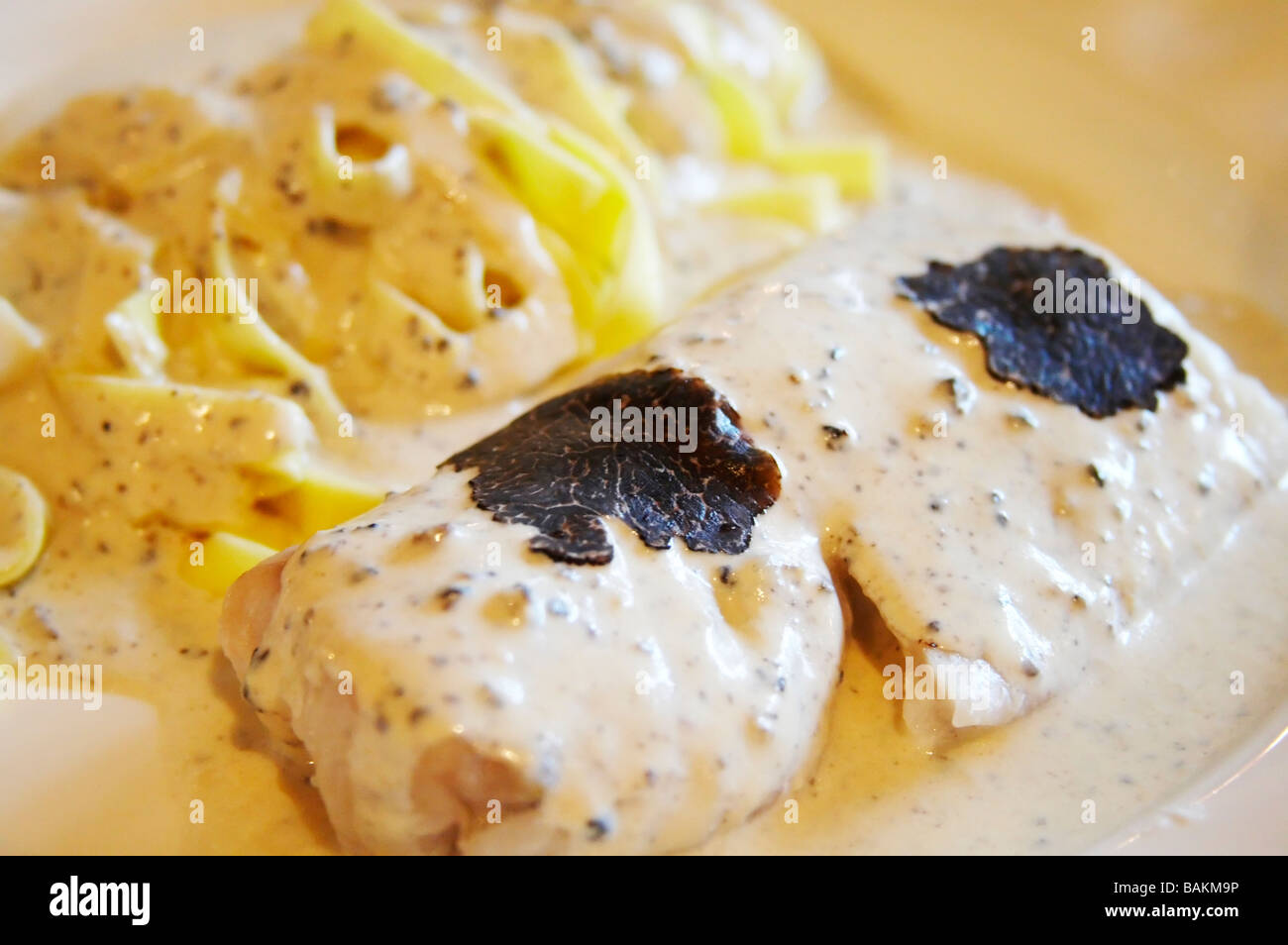 fish with tagliatelle pasta and creamy black truffles sauce rhone