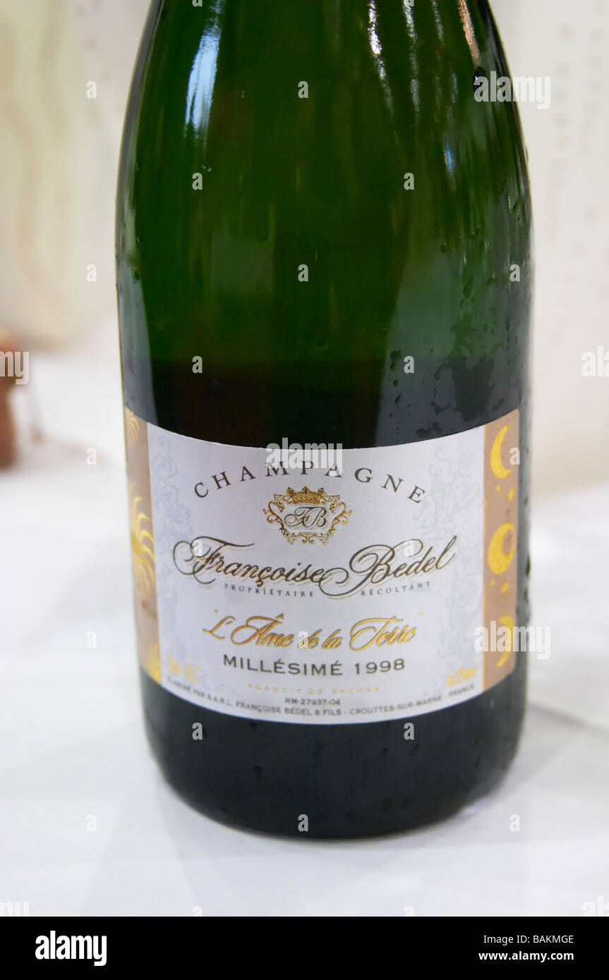 l'ane de la terre 1998 ch f bedel champagne france Stock Photo