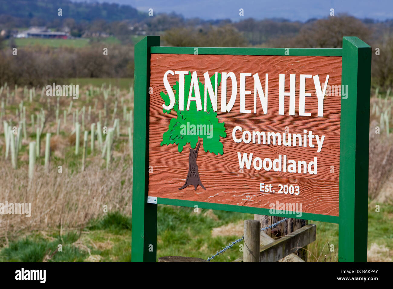 Standen Hey community woodland near Clitheroe Lancashire UK Stock Photo