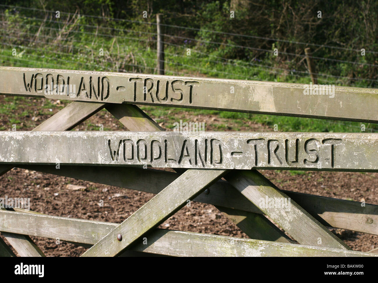 Woodland trust carved on wooden gate Hucking Kent England Stock Photo