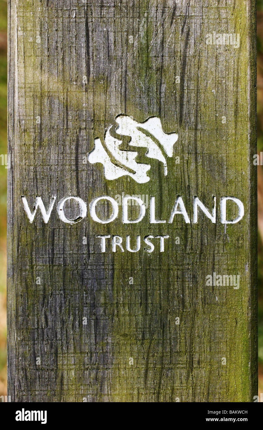 The woodland trust logo hires stock photography and images Alamy