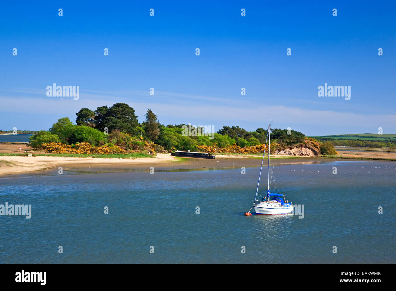 Lone Yacht anchored in Poole harbour, Dorset England UK Stock Photo