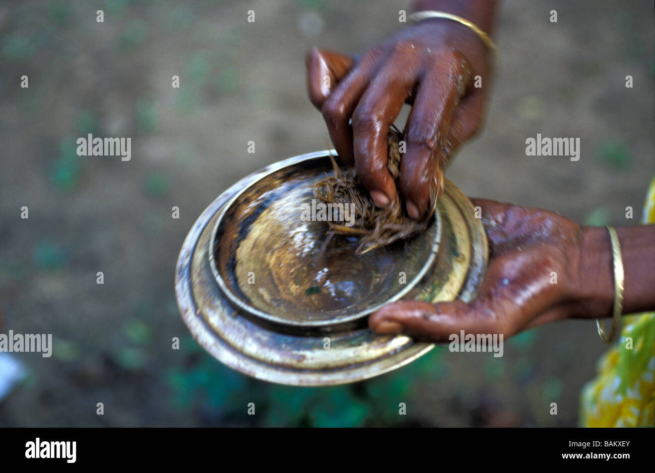India brass hires stock photography and images Alamy