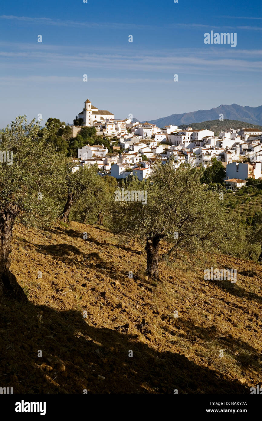 Alozaina White Villages Serranía de Ronda Malaga Andalusia Spain Stock Photo