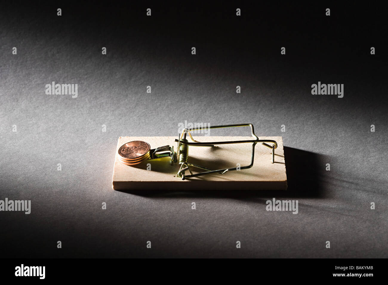 Coins on mousetrap Stock Photo
