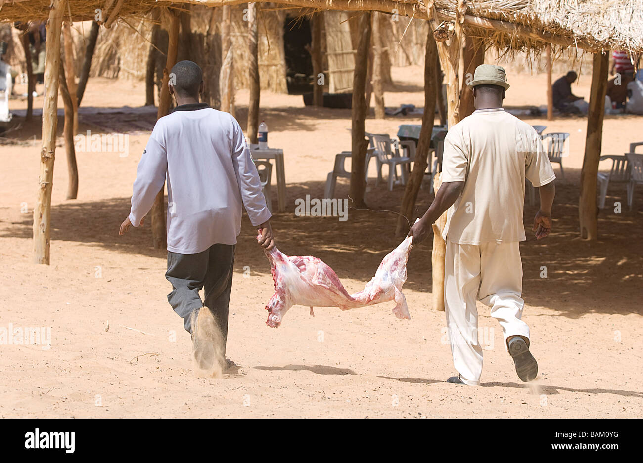 Libya, the Fezzan (Sahara), Wadi Al Hayat, Ubari Awbari, sheep killed for the camp of Gabr Aoun Lake in the Lakes area Stock Photo
