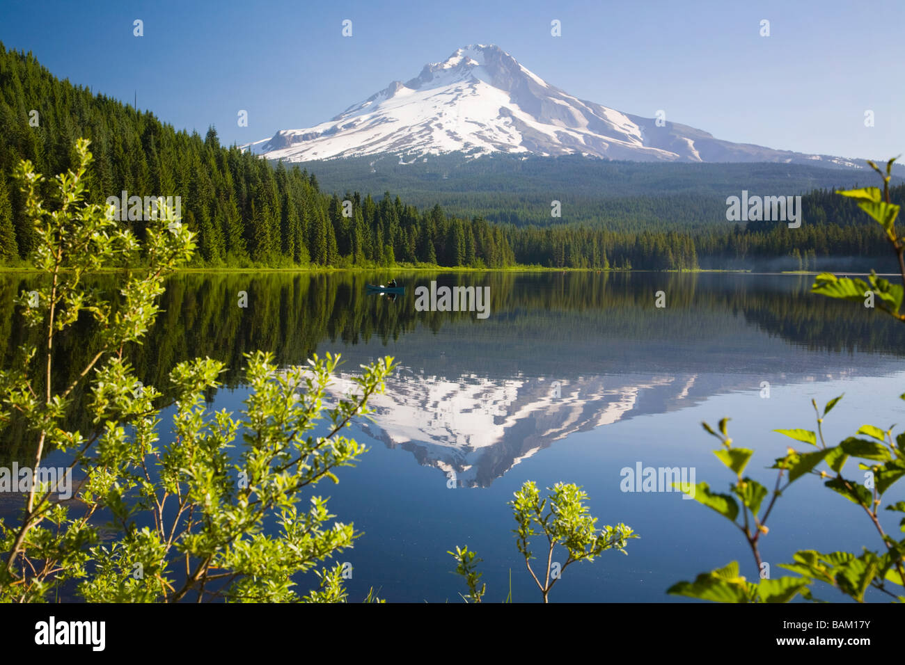 Mount hood and trillium lake Stock Photo