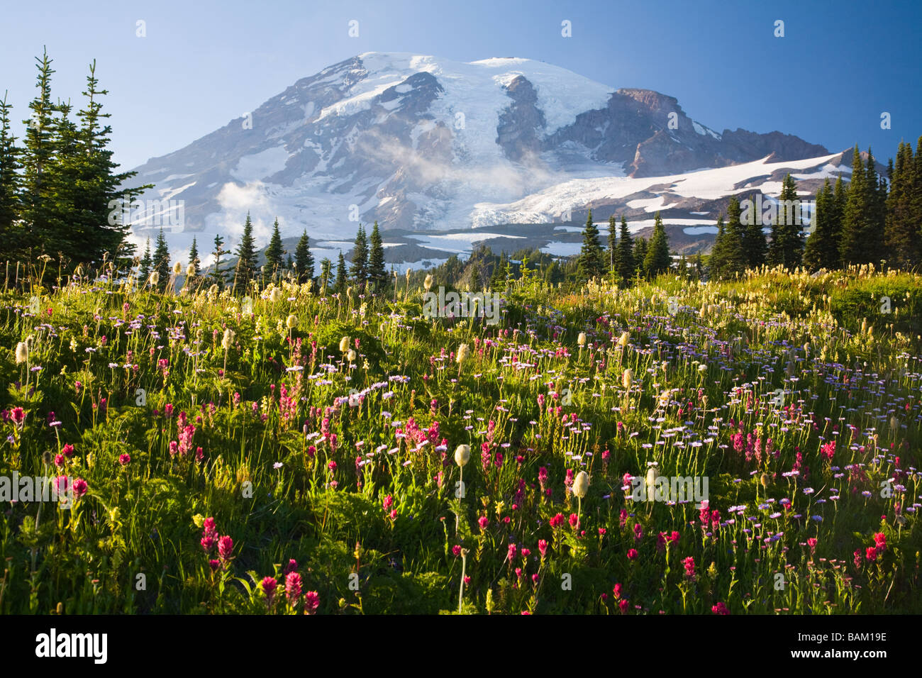 Mount rainier Stock Photo