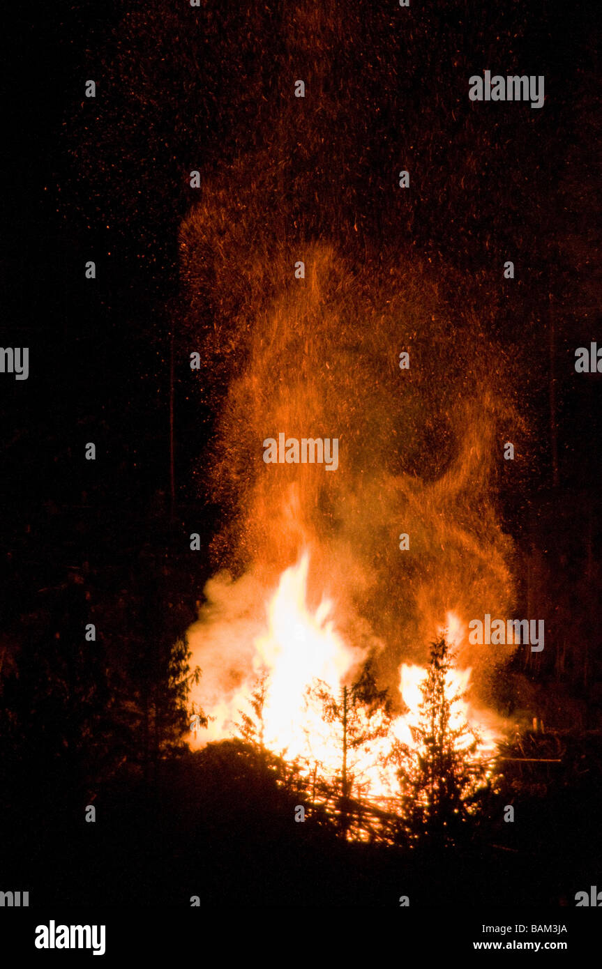 A forest fire Stock Photo - Alamy