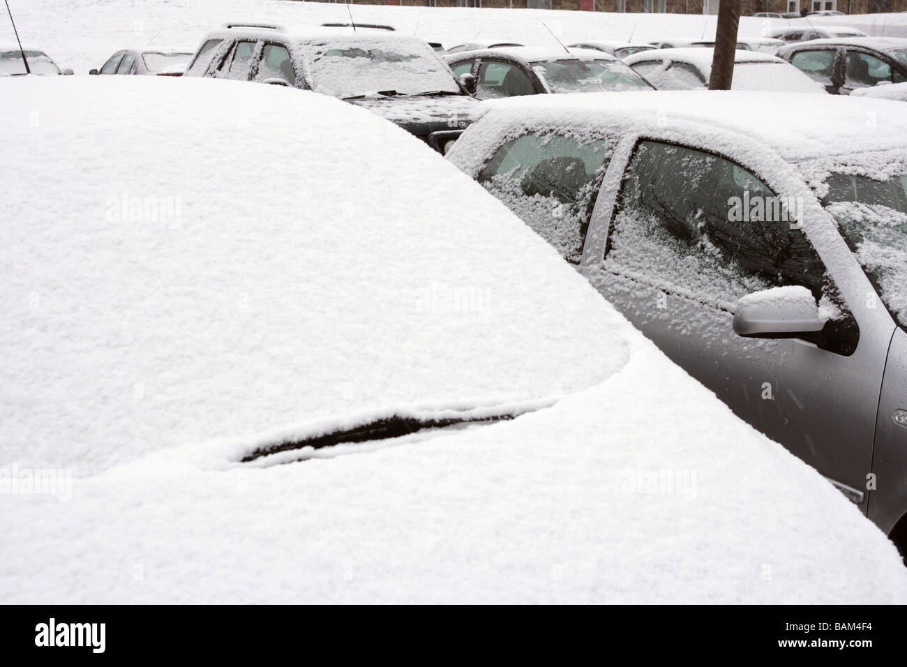 Family car parked in backyard covered with nylon waterproof cover  protection and surrounded with deep snow on cold winter day Stock Photo -  Alamy