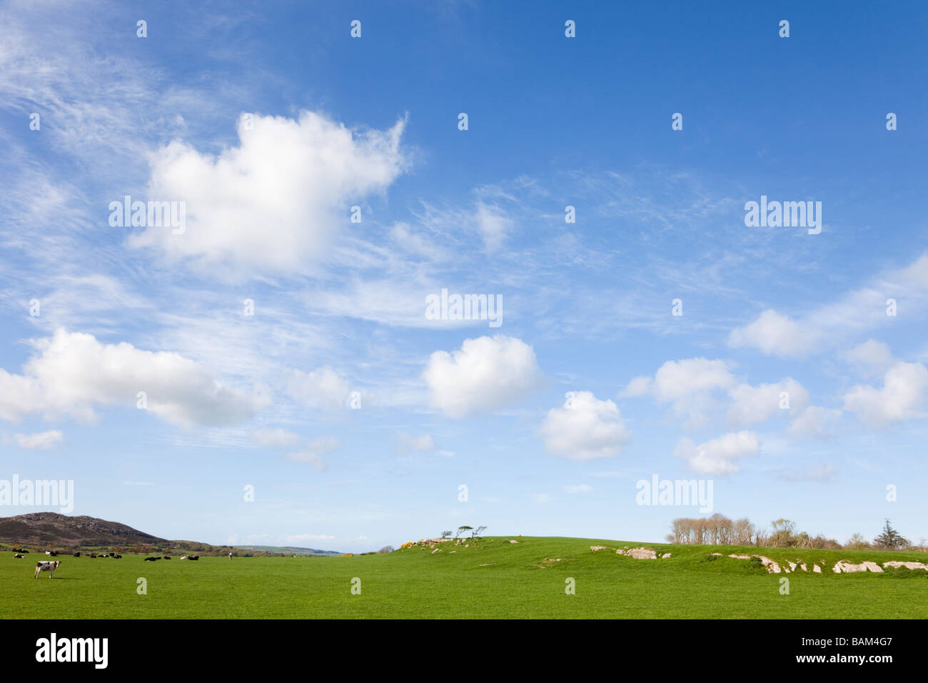 UK Country side scene with big blue sky and white fluffy summer clouds Stock Photo
