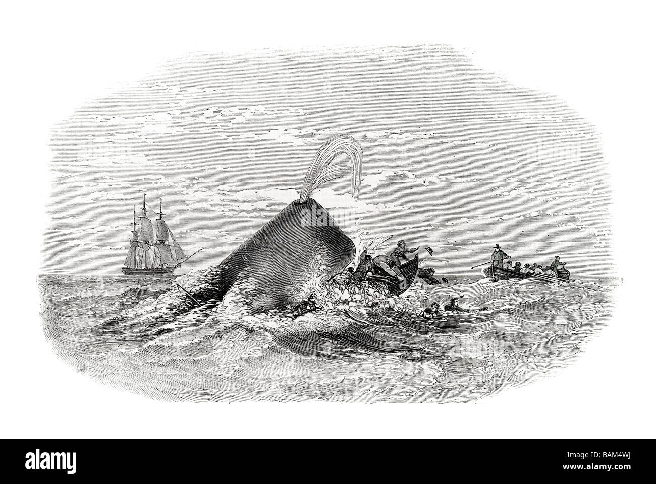 destruction of the larboard boat of the ann alexander by a sperm whale in the south pacific sail sailing boat wind ship waves Stock Photo