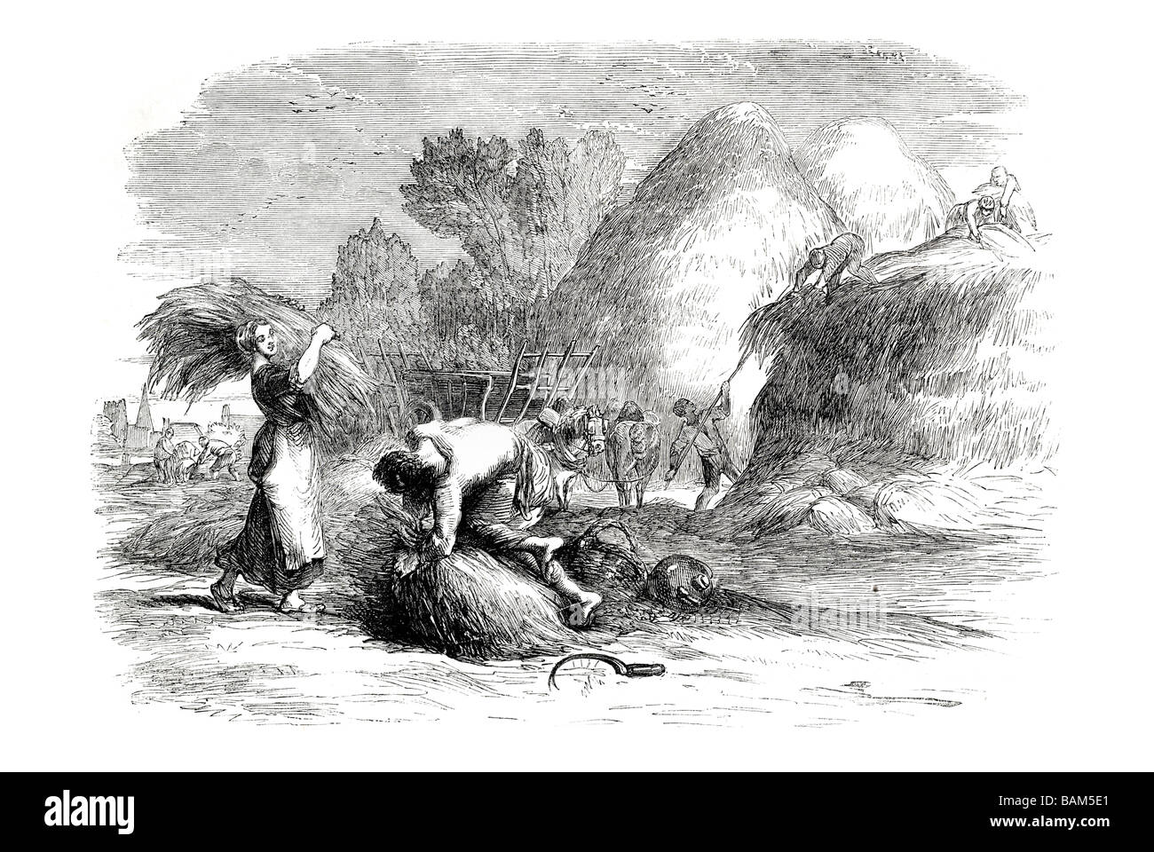 harvest in france stacking scythe sickle reaper hay straw 1851