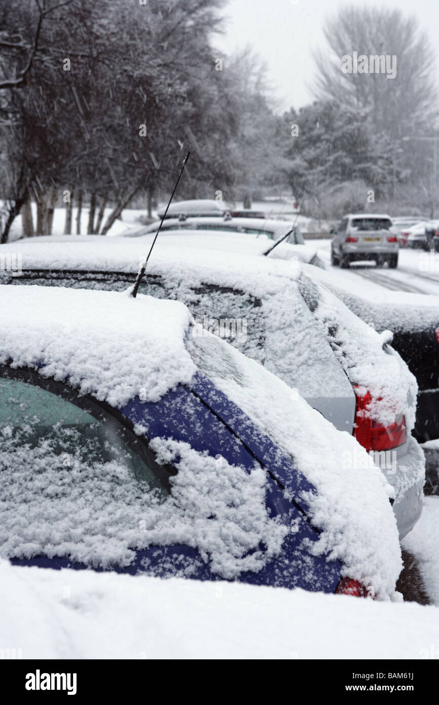 Parked cars covered in snow Stock Photo Alamy