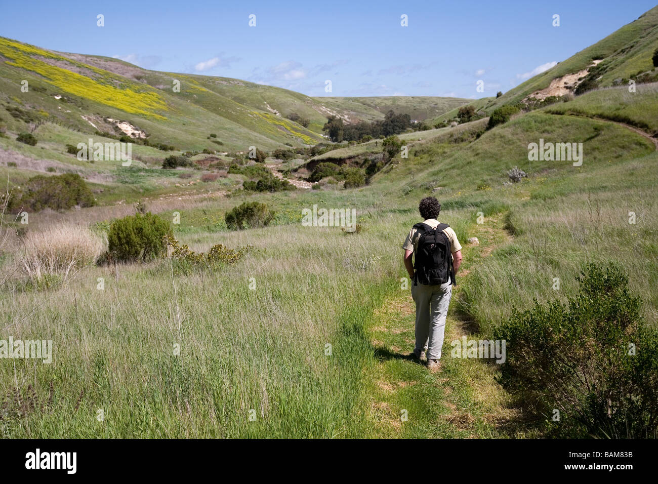 Man hiking on Scorpion Canyon trail, Santa Cruz Island, Channel Islands National Park, California Stock Photo