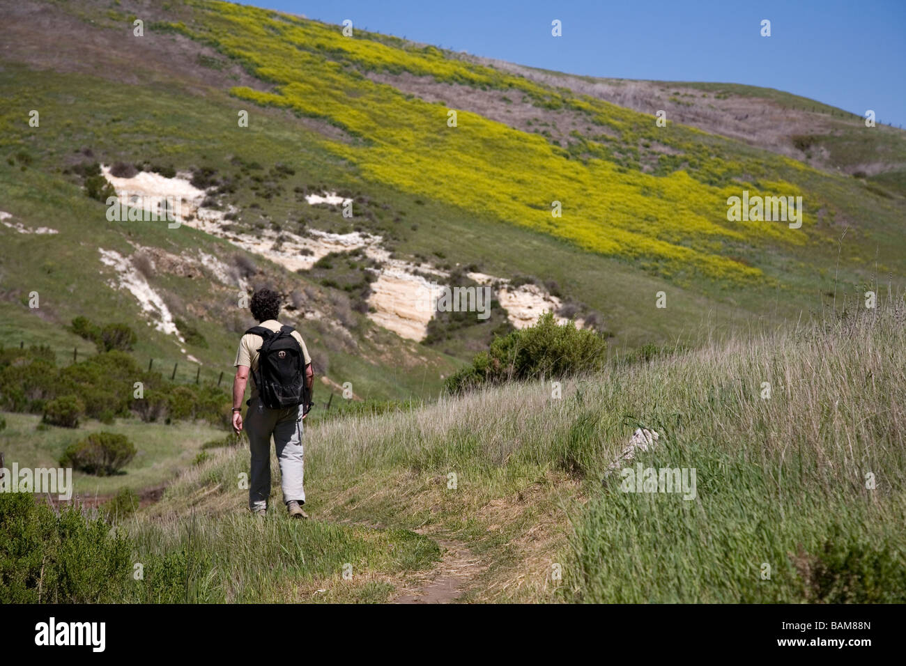 Man hiking on Scorpion Canyon trail, Santa Cruz Island, Channel Islands National Park, California Stock Photo