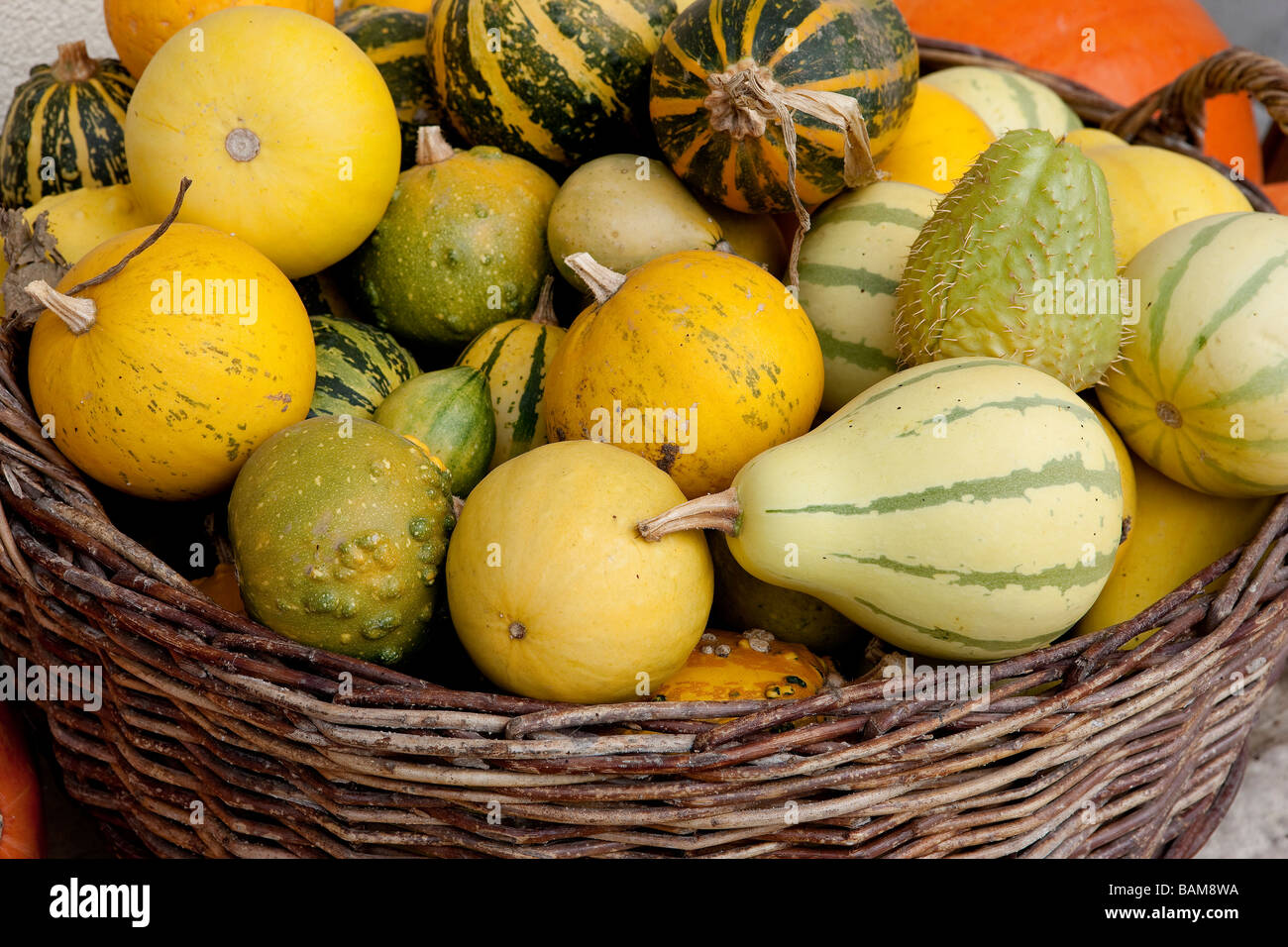 Slovenia, Gorenjska region, Bled, cucurbits Stock Photo