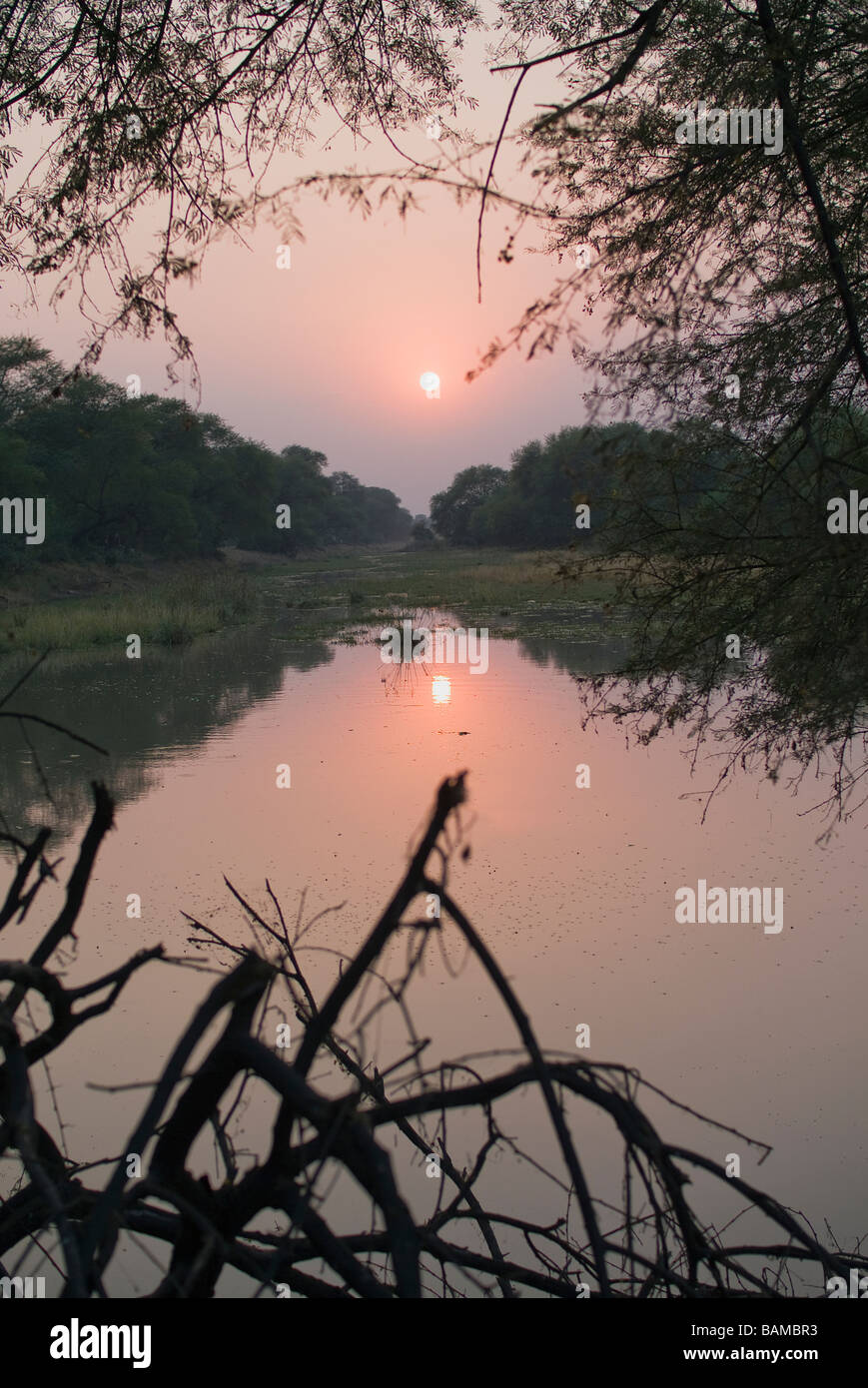 Ghana forest landscape hi-res stock photography and images - Alamy