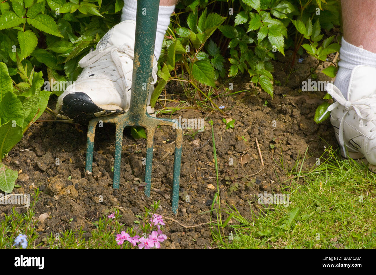 Garden fork hires stock photography and images Alamy
