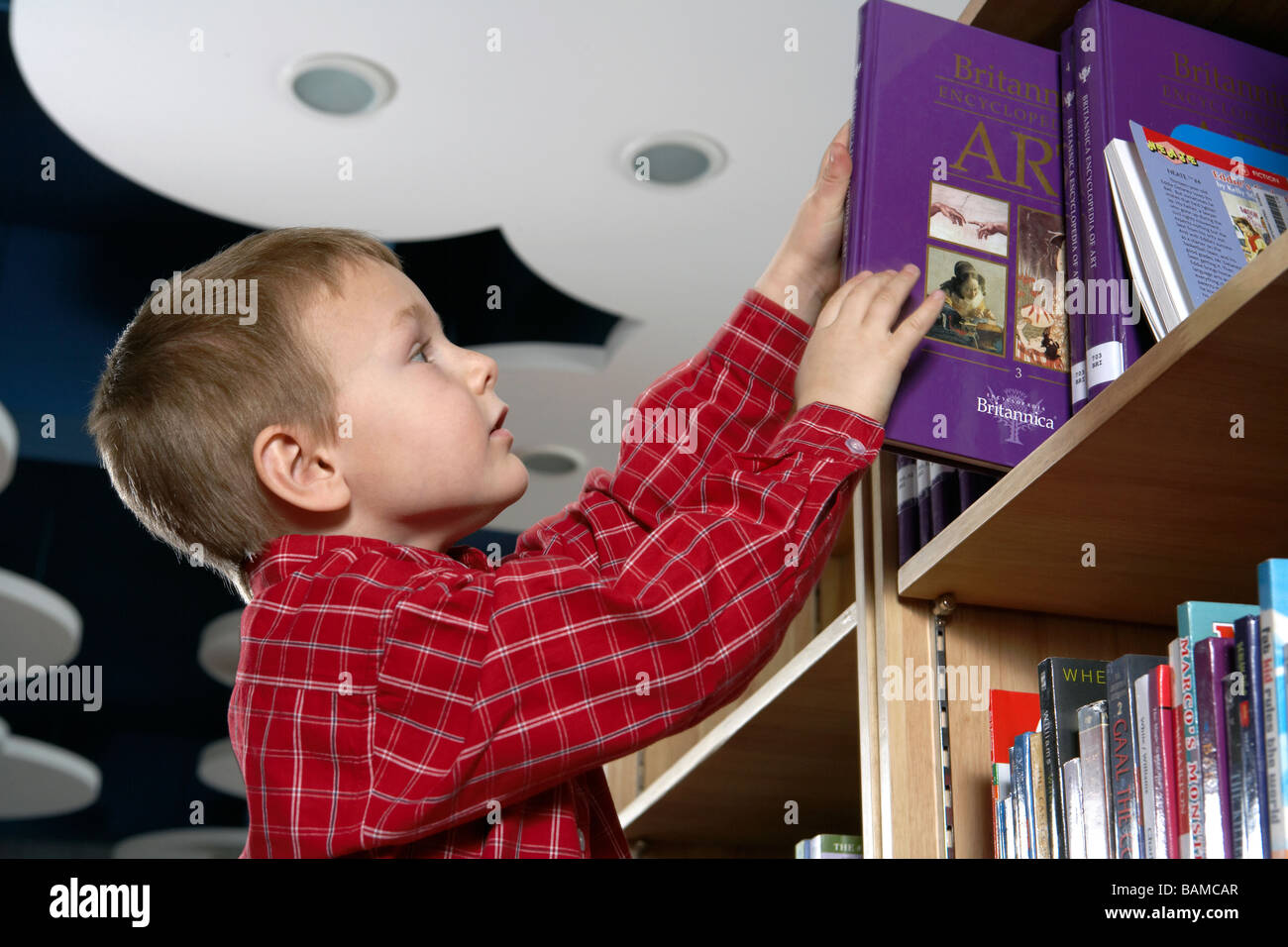 Boy Getting Book Off Shelf Stock Photo Alamy