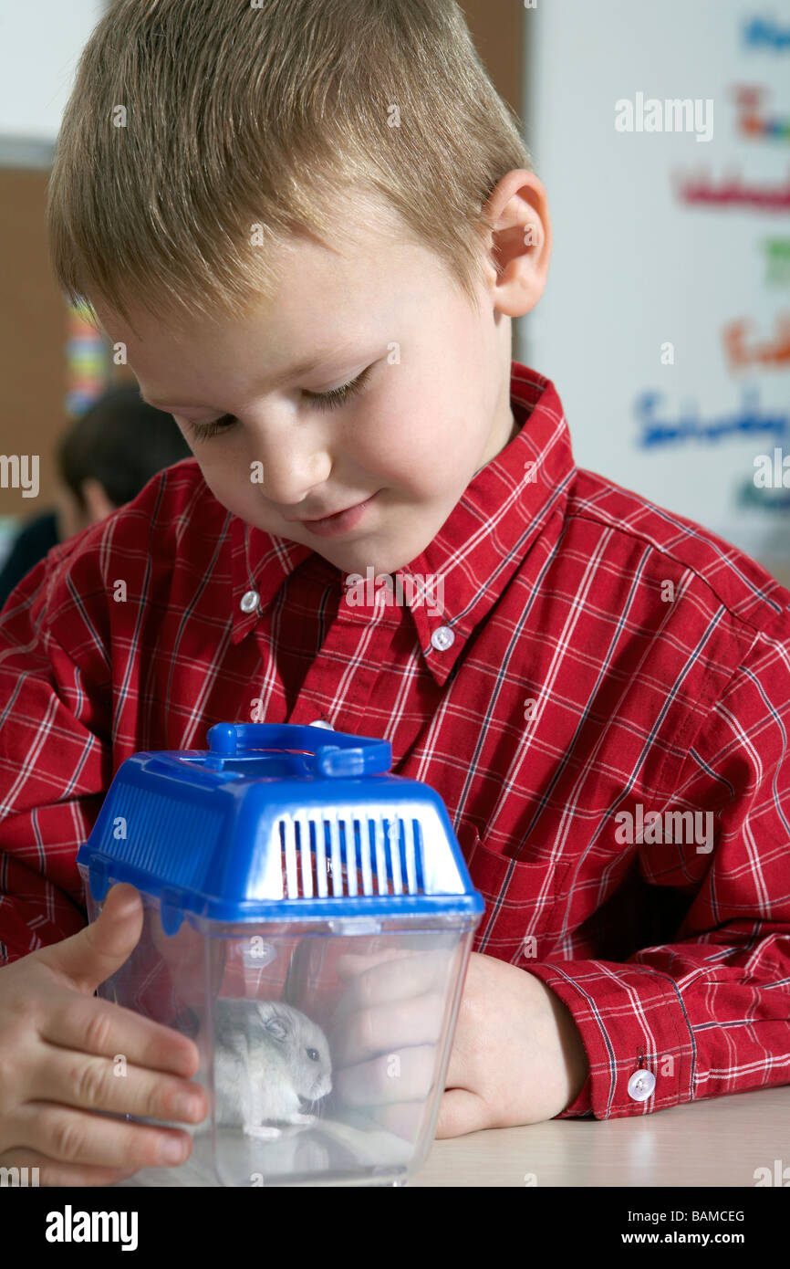 Boy Looking At Mouse Cage Stock Photo