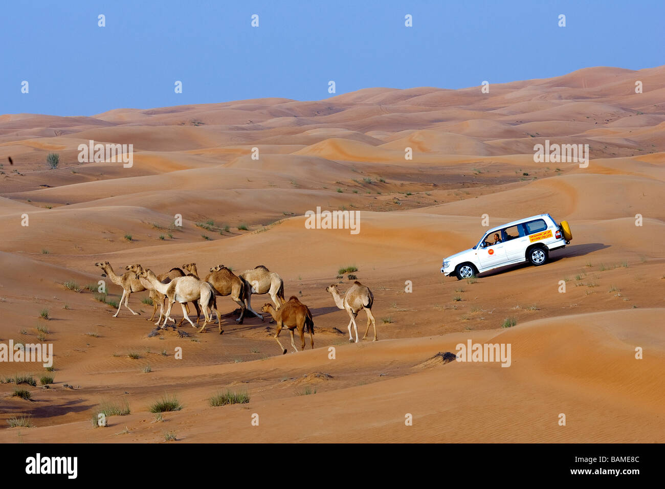 United Arab Emirates, Dubai, excursion in four wheel drive in the