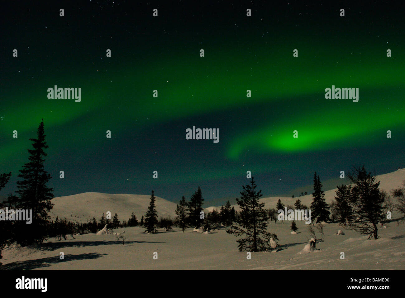 Finland, Lapland Province, Pallas Yllästunturi National Park, aurora