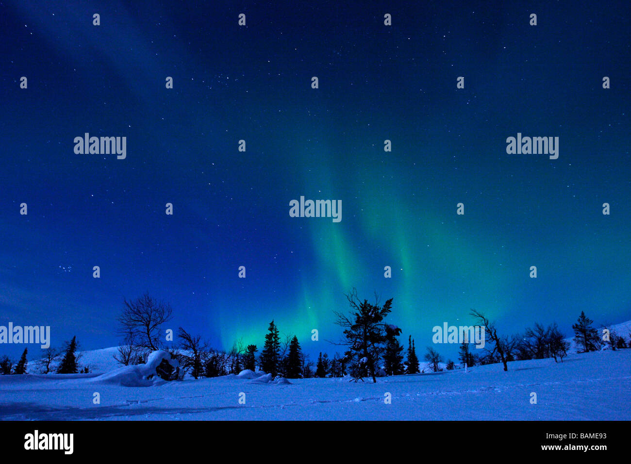 Finland, Lapland Province, Pallas Yllästunturi National Park, aurora