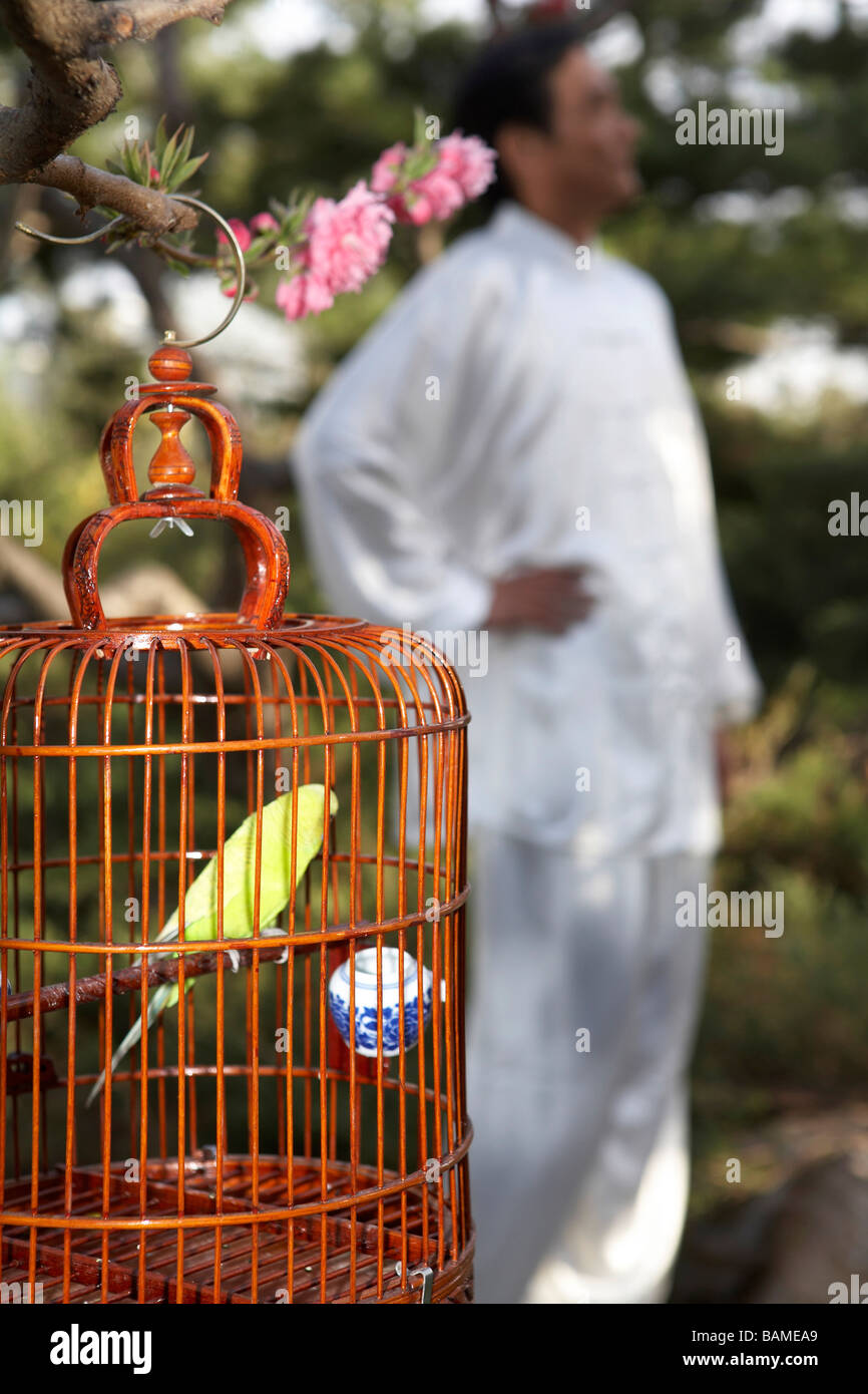 Three bird cages hires stock photography and images Alamy