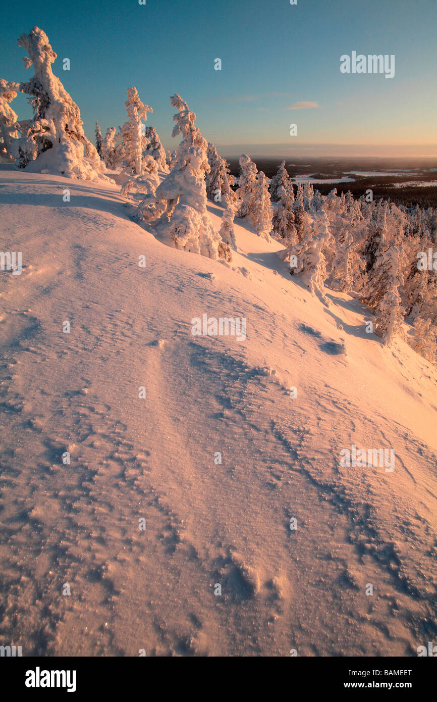 Finland, Lapland Province, Kuusamo, Ruka Jarvi, sunrise over the Taiga