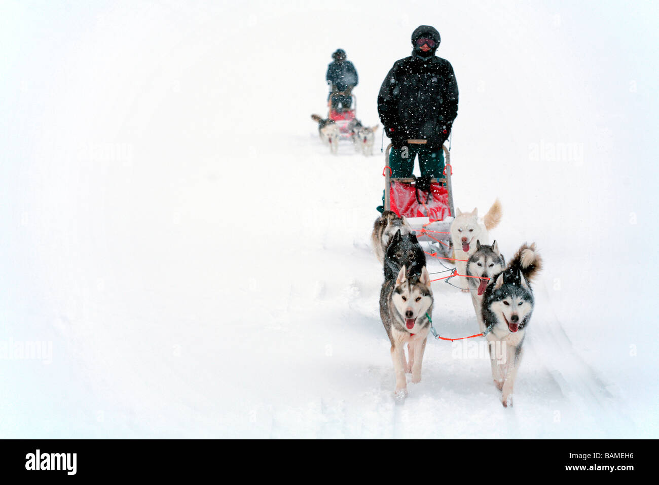 Sweden, County of  Norrbotten, Lapland, Abisko, hiking trail of Kungsleden, sled dog tour Stock Photo