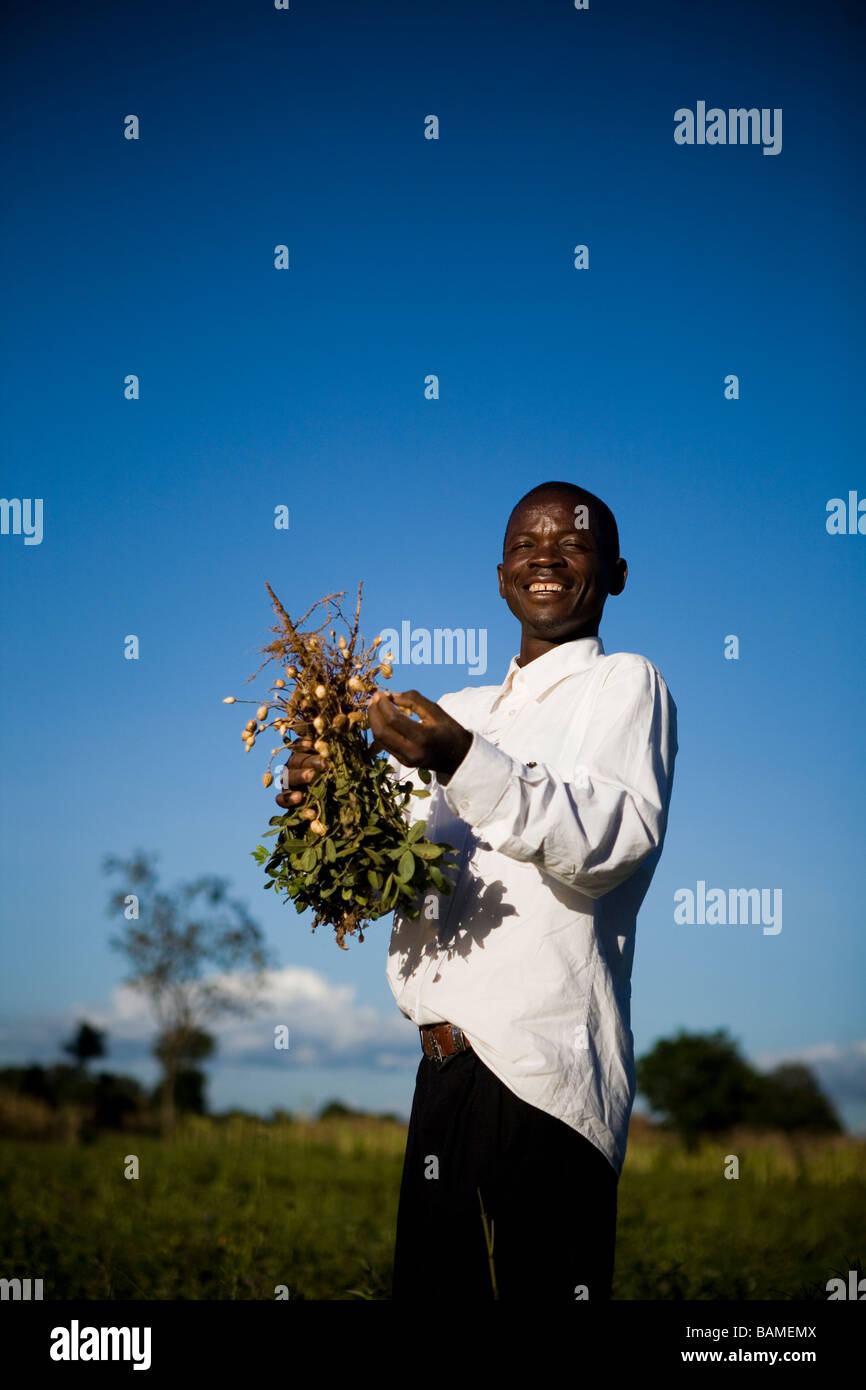 Nut farmer, Malawi Stock Photo