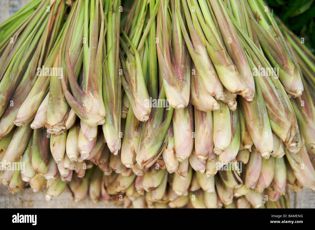 Laos herbs and spices hi-res stock photography and images - Alamy