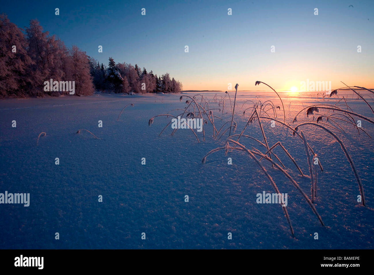 Finland, Lapland Province, Kuusamo, Ruka Jarvi, sunrise over the Taiga Stock Photo Alamy