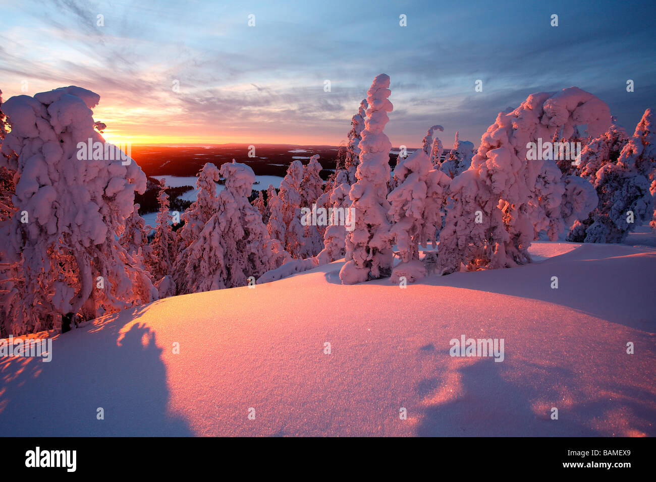 Finland, Lapland Province, Kuusamo, taiga Stock Photo Alamy