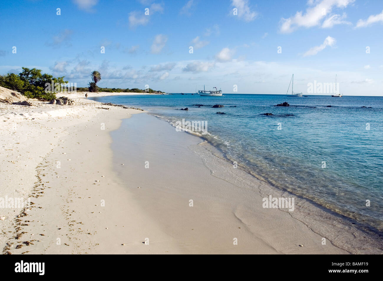 Bright white sand beach in La Blanquilla island Stock Photo Alamy