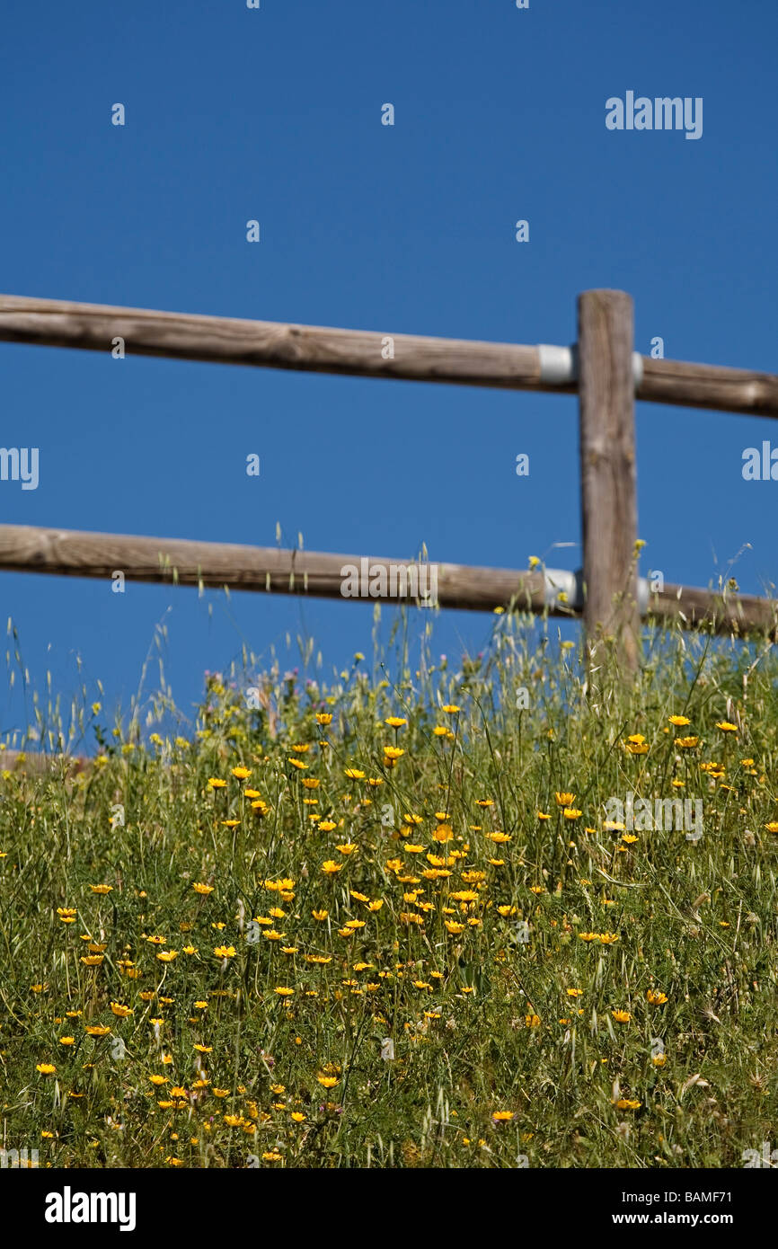 Vacaciones en el campo hi-res stock photography and images - Alamy