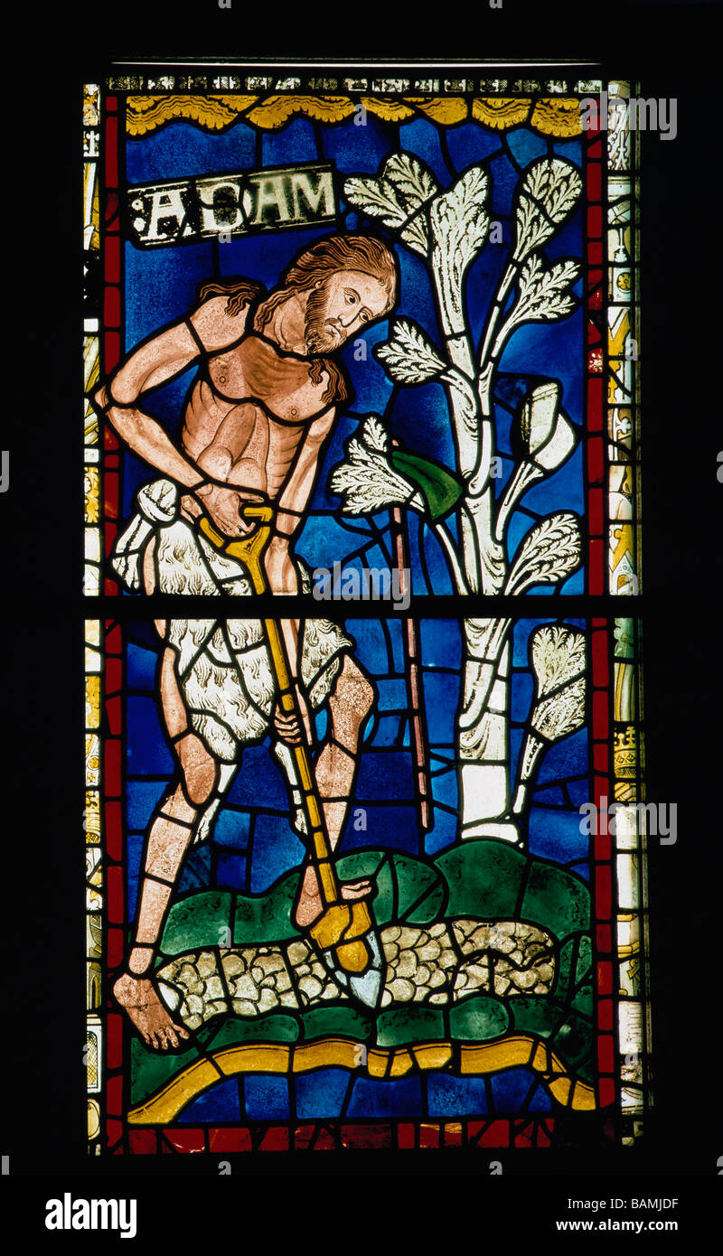 Adam Delving Canterbury Cathedral stained glass Stock Photo